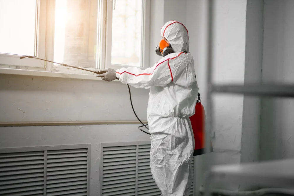 Professional mold remediation services in Hooksett, NH